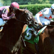 Adirondack Dancer Runs 1st Place @ Saratoga On 8/24/2013