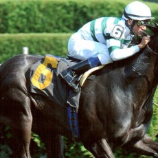 A P Johnson Runs 1st Place @ Saratoga On 8/30/2013
