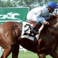 Karakorum Legend Runs 1st Place @ Belmont Park On 6/27/2013