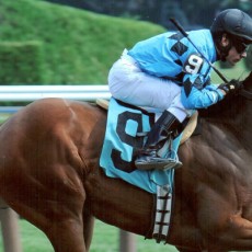 Miss Narcissist Runs 1st Place @ Saratoga On 8/28/2013
