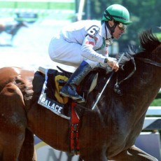Palace Runs 1st Place @ Saratoga On 8/23/2013