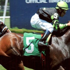 Sky Lover Runs 1st Place @ Belmont Park On 6/23/2013