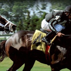 ALE Runs 1st Place @ Belmont Park On 6/21/2013