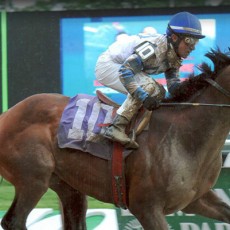 Blue Creek Runs 1st Place @ Belmont Park On 5/25/2013