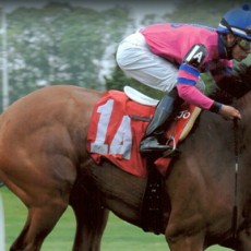 Justoneatheguys Runs 1st Place @ Belmont Park On 5/23/2013