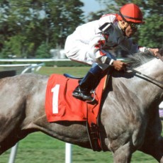 Double The Energy Runs 1st Place @ Belmont On 9/19/2013