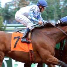 Frazil Runs 1st Place @ Belmont On 9/27/2013