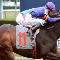 May Shares 1st Place @ Belmont On 9/27/2013