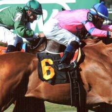 Summer Shiner Runs 1st Place @ Belmont On 9/19/2013