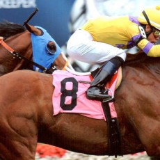 Alarmed NDangerous Runs 1st Place @ Belmont On 10/11/13