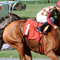Ave’s Halo 1st Place @ Belmont On 10/2/13