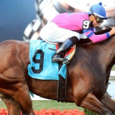 Ballerina Belle 1st Place @ Belmont On 10/4/13