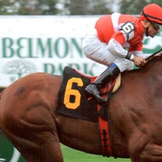 Going Going Gone Runs 1st Place @ Belmont On 10/11/13