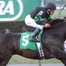 Make A Decision Runs 1st Place @ Belmont On 10/5/13