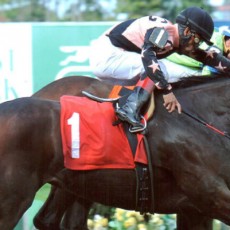 Trailer Walker Runs 1st Place @ Belmont On 10/9/13