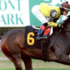 Hidden Music Runs 1st Place @ Belmont On 10/25/13