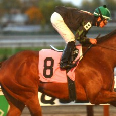 La Verdad Runs 1st Place @ Aqueduct On 11/07/13