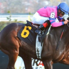 Loveisheartandsoul Runs 1st Place @ Aqueduct On 11/15/13