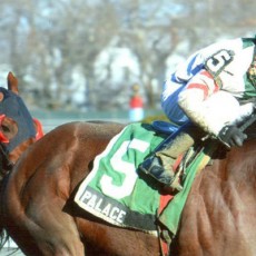 Palace Wins The Fall Highweight Handicap on 11/28/13
