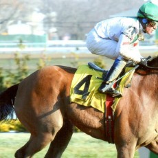 Bounty Pink Runs 1st Place @ Aqueduct On 12/19/13