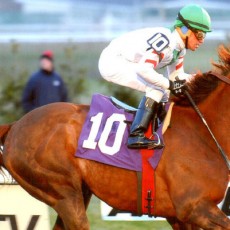 Dapper Draper Runs 1st Place @ Aqueduct On 12/19/13