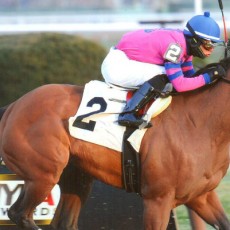La Verdad Runs 1st Place @ Aqueduct On 12/19/13