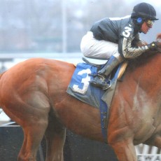 Quick Money Runs 1st Place @ Aqueduct On 12/6/13