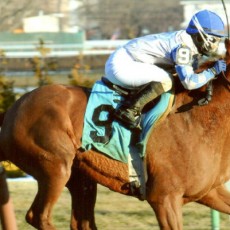 Alcomatch Runs 1st Place @ Aqueduct On 1/9/14