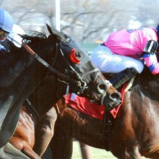 Erik The Red Runs 1st Place @ Aqueduct On 1/19/14