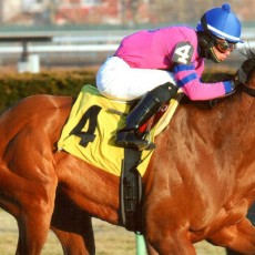 La Verdad Runs 1st Place @ Aqueduct On 1/17/14