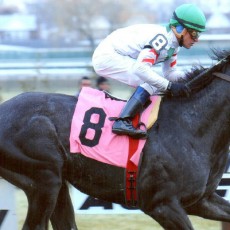 Risk Mangement Runs 1st Place @ Aqueduct On 1/16/14