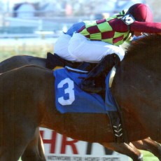 Won Great Classic Runs 1st Place @ Aqueduct On 12/28/13