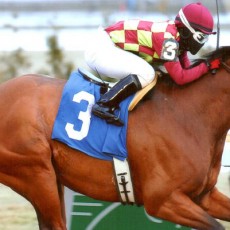 Abra Runs 1st Place @ Aqueduct On 1/27/14