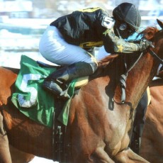 Bella The Bandit runs 1st Place @ Aqueduct On 2/10/14