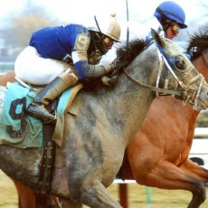 Frazil 1st Place @ Aqueduct On 1/18/14