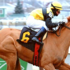 In Her Day runs 1st Place @ Aqueduct On 3/3/14