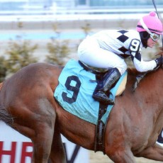 Jazzminegem runs 1st Place @ Aqueduct On 3/20/14