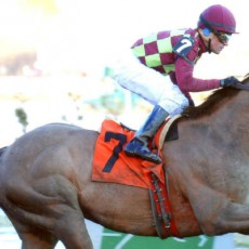 Won Great Classic runs 1st Place @ Aqueduct On 2/22/14