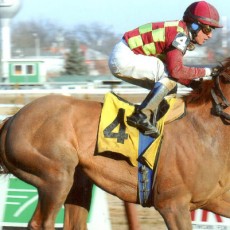 Won Great Classic runs 1st Place @ Aqueduct On 3/8/14