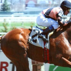 Kick’n Butt runs 1st Place @ Aqueduct On 4/10/14