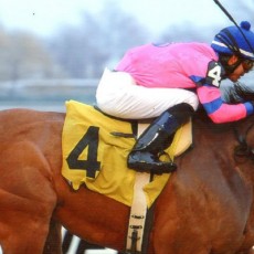 La Verdad runs 1st Place @ Aqueduct On 3/29/14