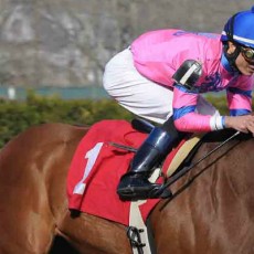 La Verdad runs 1st Place @ Aqueduct On 4/19/14