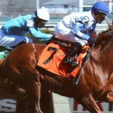 Lion Keen runs 1st Place @ Aqueduct On 4/6/14