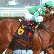 Marriedtothemusic runs 1st Place @ Aqueduct On 4/3/14