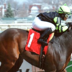 Sovereign Default runs 1st Place @ Aqueduct On 4/3/14