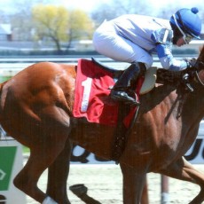 The Iron Furnace runs 1st Place @ Aqueduct On 4/24/14