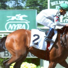 Bounty Pink runs 1st Place @ Belmont On 5/29/14