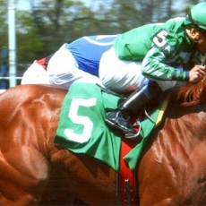 Marriedtothemusic runs 1st Place @ Belmont On 5/2/14