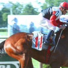 Alabaster City runs 1st Place @ Belmont On 6/14/14