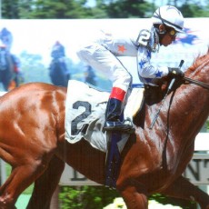 Bambisfrostyracer runs 1st Place @ Belmont On 6/15/14